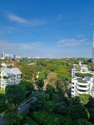 Nathan Suites (D10), Condominium #467700131